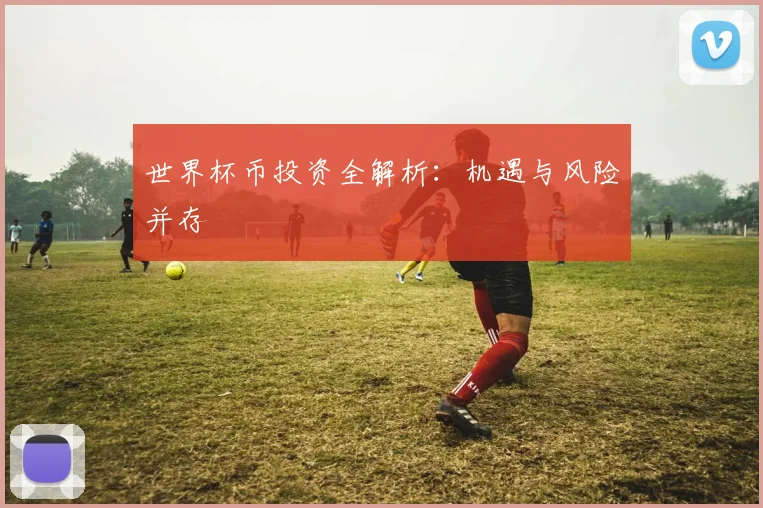 世界杯币投资全解析:机遇与风险并存