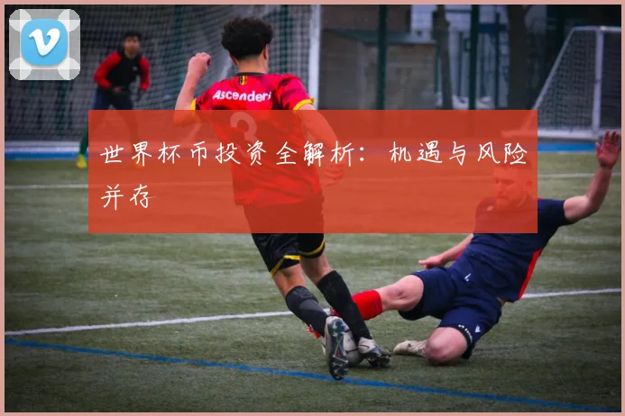世界杯币投资全解析:机遇与风险并存
